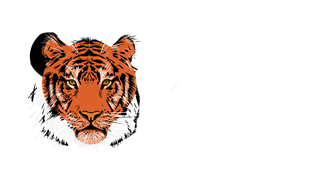 Safari Guide – Wildlife Safaris and Other Tours